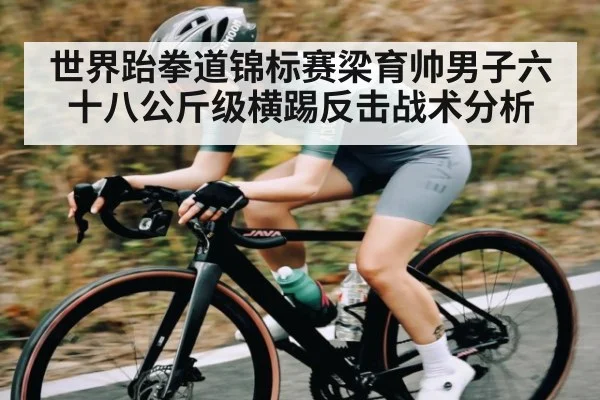 世界跆拳道锦标赛梁育帅男子六十八公斤级横踢反击战术分析 | kaiyun